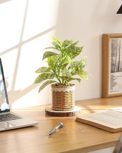 Nubry Fake Plants Artificial Potted Plants with Weaved Pot for Shelf & Table Desk | Perfect for Home Office Bathroom Farmhouse Room Coffee Table Decor 10‘’