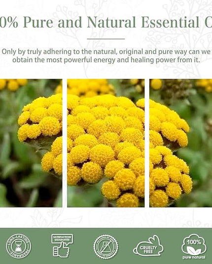 Helichrysum 3.38fl.oz Essential Oil, PHATOIL Pure Aromatherapy Oils for Diffuser, Humidifier, Perfect for DIY Soap, Candle, Bath Bombs Making(100ml)