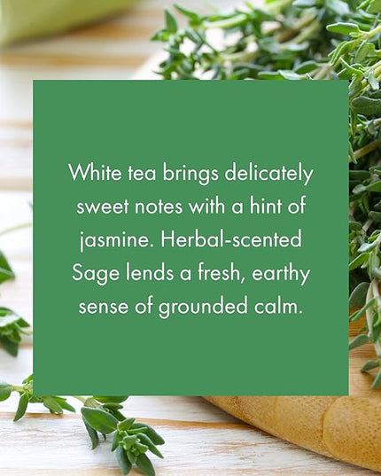 ScentAir Whisper Home Monthly Plug-in Refill, Fragrance Cartridge for Home and Office, White Tea & Thyme