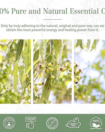 Lemon Eucalyptus 3.38fl.oz Essential Oil, PHATOIL Pure Aromatherapy Oils for Diffuser, Humidifier, Perfect for DIY Soap, Candle, Bath Bombs Making(100ml)