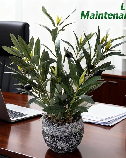 Ewtogift Indoor Faux Olive Plant 12 inch Artificial Silk Leaves in Elegant Planter Perfect Fake Olive Branches with Realistic Trunk and Lifelike Fruits Tabletop Greenery Decor for Home Office