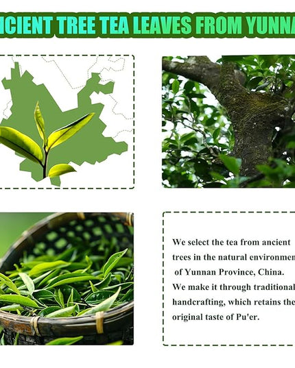 Organic Pu-erh Tea Bags - Raw Chinese Organic Pu erh Dark Tea 12 Pack, 1.5g Each Pu'erh Tea Bag, from Ancient Tree 2018 Aged Earthy Flavor Rich Antioxidants, Daily Breakfast Drinking Gift