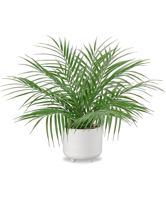 Hollyone Large Artificial Potted Plants Fake Palm Plants 19" Faux Green Plant Plastic Tropical Palm Tree in White Ceramic Pots Bohemian for Home Room Office House Indoor Decoration