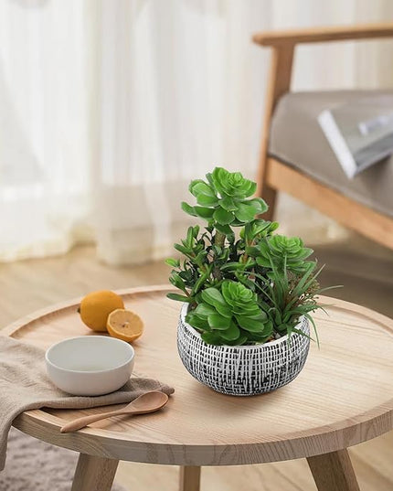 Villa Como 10” Large Succulents Plants Artificial in Ceramic Pots Potted Faux Succulent Arrangement with Black Bowl Pots Fake Desk Succulents Plants for Home Bathroom Shelf Table Indoor Decor