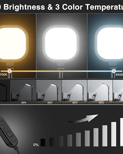 2 Packs Video Conference Lights for Zoom Meeting, LitONES Podcast Lighting Kit for Working from Home Office, Desktop Video Light with Stand and Phone Holder CRI 97.8