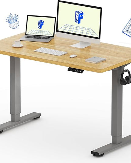 FLEXISPOT EN1 One-Piece Height Adjustable 48 x 24 inch Electric Standing Desk, Stand Up Desk for Home Office (Silver Frame + 48" Natural Top, 2 Packages)