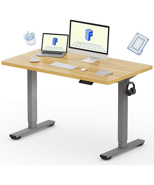 FLEXISPOT EN1 One-Piece Height Adjustable 48 x 24 inch Electric Standing Desk, Stand Up Desk for Home Office (Silver Frame + 48" Natural Top, 2 Packages)