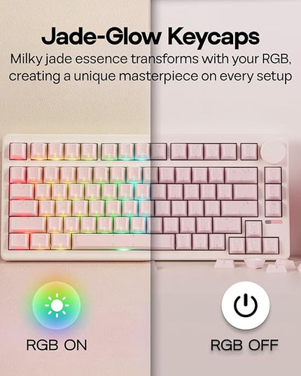 EPOMAKER Creamy Jade PBT Keycaps, 142 Keys, Double Shot, Cherry Profile, 60%/75%/96%/Full Size, Custom Keyboard Keycaps Set for Mechanical Gaming Keyboard (Pink)