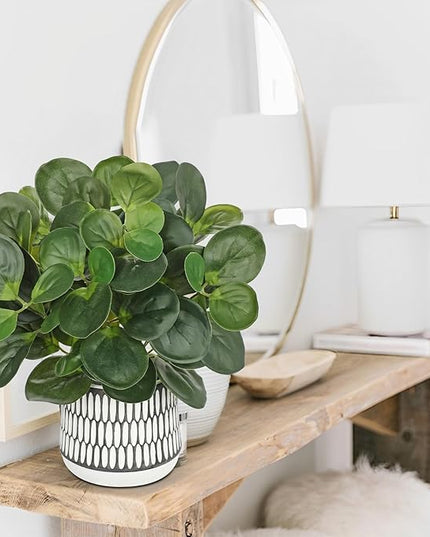 12" Artificial Plants Indoor Small Fake Plant in Ceramic Pot, Silk Plants for Home Decor Indoor, Faux Peperomia Potted Plant for Shelves, Desks, Home, Room, Office, Bedroom, Entryway, Tabletop Decor