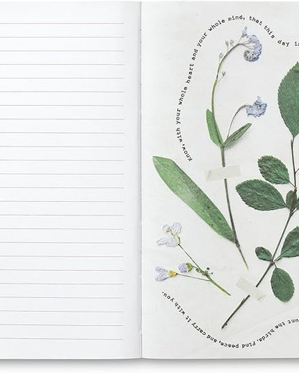 Compendium Softcover Journal – More Simplicity, More Ease, More Softness, More Light – A Write Now Journal with 128 Lined Pages, 5"W x 8"H