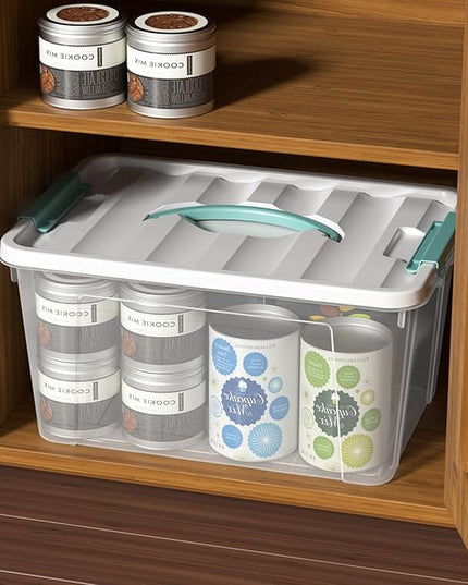 Readsky 4 Packs Clear Storage Latch Box Plastic, 14 Quart Plastic Storage Bin with Lid and Handle