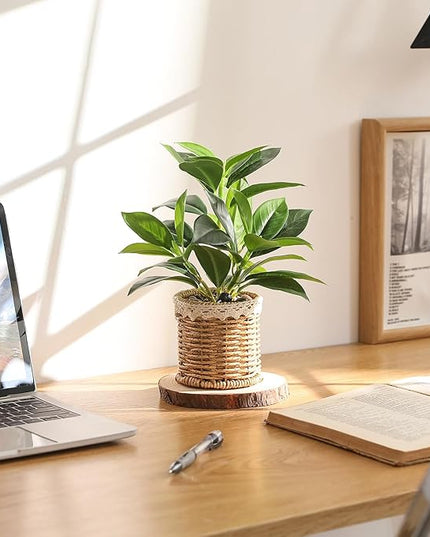 Nubry 2 Pack Fake Plants Artificial Potted Plants with Weaved Pot for Shelf & Table Desk | Perfect for Home Office Bathroom Farmhouse Room Coffee Table Decor 10‘’