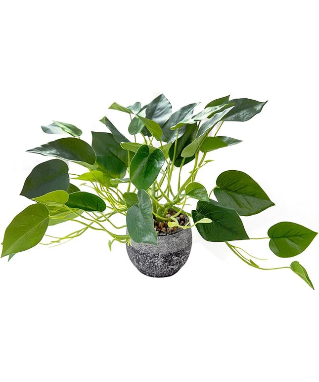 AlphaAcc Artificial Plants Potted Real Looking Small Faux Plant with Rustic Black Cement Planter for Kitchen Office Desk Bookshelf Decor (Ivy Plant)
