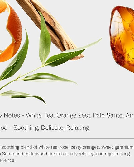 AromaTech White Tea Aroma Essential Oil Blend: Luxury Hotel Inspired Aromatherapy with White Tea, Orange & Palo Santo for Ultrasonic Diffusers & Nebulizers - 16 fl oz, 500 mL