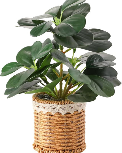 Nubry Fake Plants Artificial Potted Plants with Weaved Pot for Shelf & Table Desk | Perfect for Home Office Bathroom Farmhouse Room Coffee Table Decor 10‘’