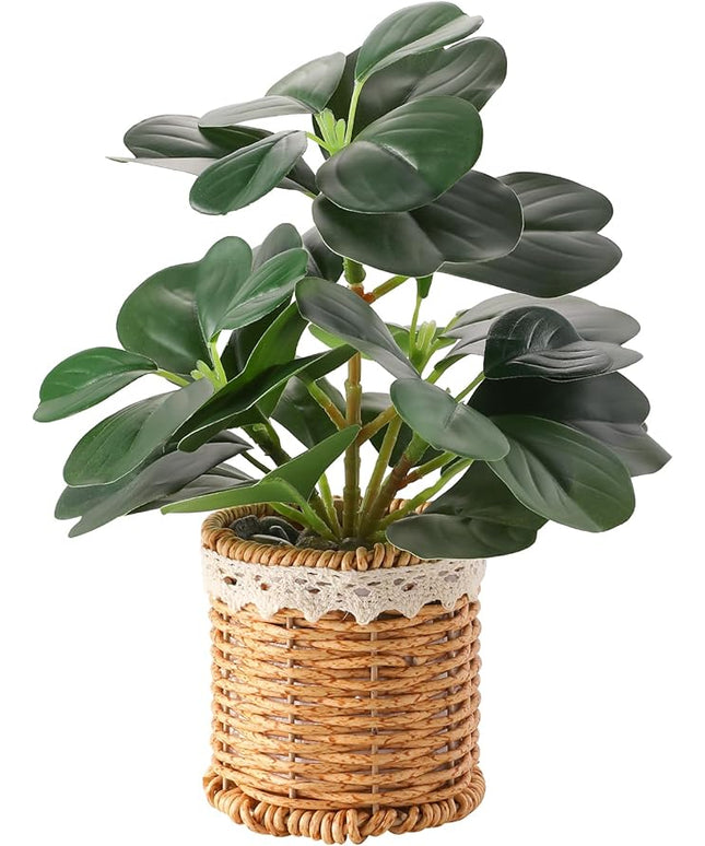 Nubry Fake Plants Artificial Potted Plants with Weaved Pot for Shelf & Table Desk | Perfect for Home Office Bathroom Farmhouse Room Coffee Table Decor 10‘’