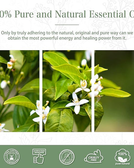 Neroli 3.38fl.oz Essential Oil, PHATOIL Pure Aromatherapy Oils for Diffuser, Humidifier, Perfect for DIY Soap, Candle, Bath Bombs Making(100ml)
