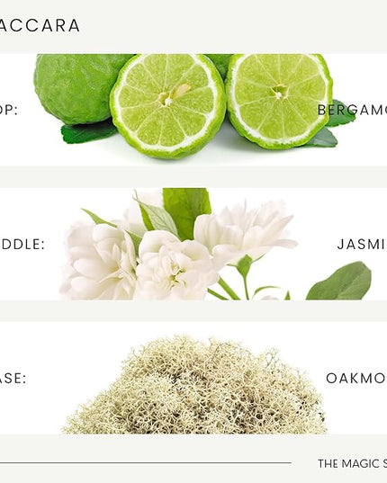 The Magic Scent Baccara Diffuser Oil - Hotel & Home Luxury Scents Inspired by Baccarat Rouge - Diffuser Oil Scents for Home Designed for Use in All Diffusers - 16.9 fl oz, 500 mL