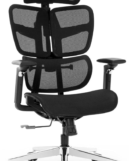 Ergonomic Mesh Office Chair with Adjustable Armrests, Lumbar Support,Big and Tall Desk Chair with Headrest and Smooth Rolling Base,Swivel Comfy Task Chair for Home Office,Black