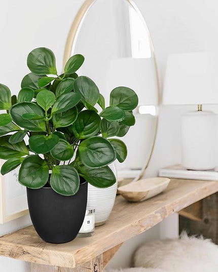 Villa Como 14.5" Artificial Plants Indoor Home Decor, Fake Potted Silk Plants for Shelves Living Room Decorative, Small Artificial Office Desk Plants in Pots, Faux Peperomia Hope Tropical House Plant