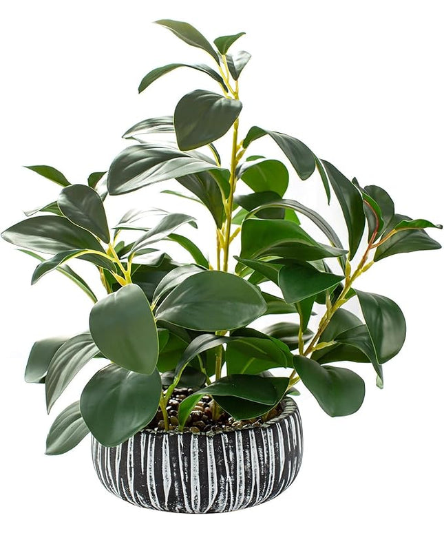 AlphaAcc Artificial Succulents Plants Decor Greenery Fake Succulents Indoor Potted Fake Plant with Rustic Black Clay Planter for Farmhouse Room Bathroom Bedroom Kitchen Office Dese Coffee Table Decor