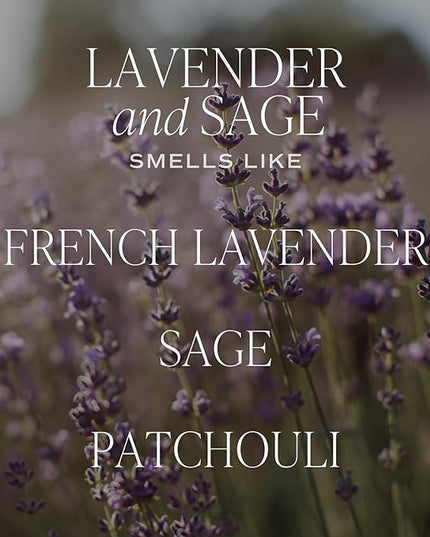 Sweet Water Decor Lavender and Sage Reed Diffuser – Room Decor Aesthetic with Long-Lasting Premium Fragrance of French Lavender, Lime, Fern Leaves for 4 Months – Ideal for Aromatherapy and Home Decor