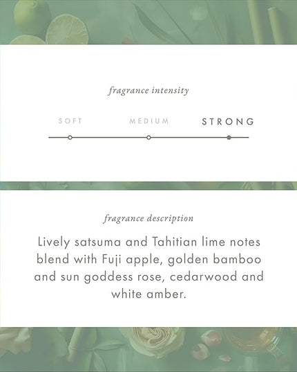 ScentAir Whisper Home Monthly Plug-in Refill, Fragrance Cartridge for Home and Office, Golden Bamboo