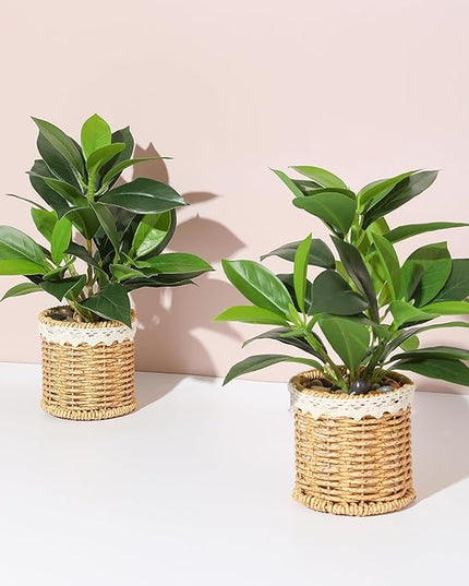 Nubry 2 Pack Fake Plants Artificial Potted Plants with Weaved Pot for Shelf & Table Desk | Perfect for Home Office Bathroom Farmhouse Room Coffee Table Decor 10‘’