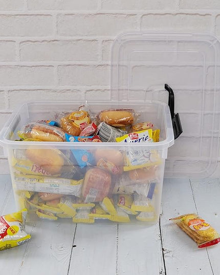 5 Liter Clear Storage Box, 4-Pack Plastic Latching Box with Lid