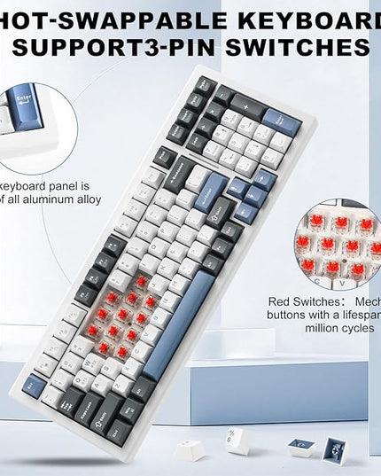 Wireless Mechanical Keyboard BT5.0/2.4GHz/USB, Multi-Color LED with 18+ Modes, Hot-Swappable Custom Keyboard, Red Creamy Switches, Gaming Keyboard for PC/Mac (Blue White)