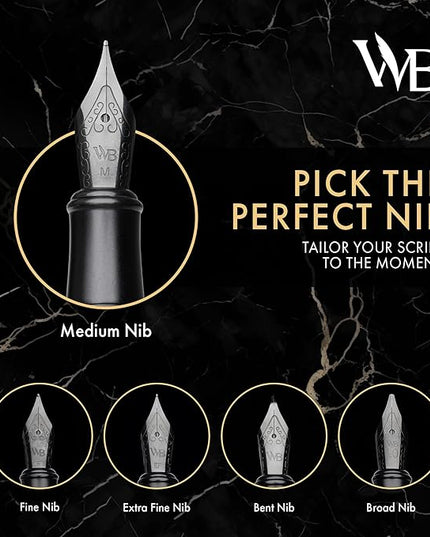 Wordsworth & Black Fountain Pen Set, Medium Nib, Includes 24 Pack Ink Cartridges, Ink Refill Converter & Gift Box, Calligraphy, [All Black], Perfect for Men & Women