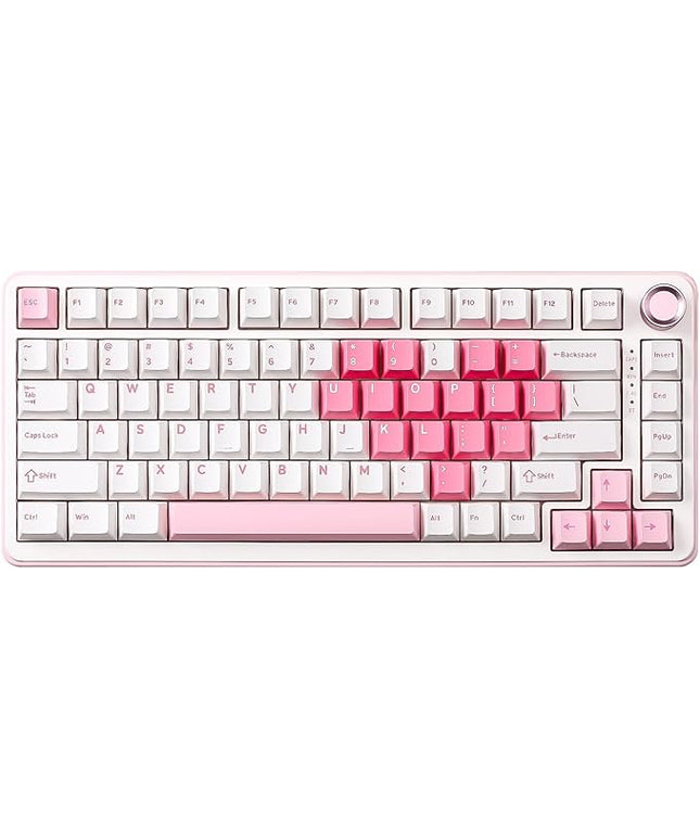 YUNZII B75 PRO Wireless Mechanical Keyboard,75% Layout with Knob,Hot Swap Gasket Structure,Creamy Pre-lubed Switches,RGB Backlit,Bluetooth/Type-C/2.4G for Win/Mac (White, Cocoa Cream V2 Switch)