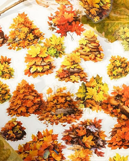 Nature Landscape Scrapbooking Sticker Set, 240 Pieces, 6 Themes Transparent PET Stickers for Journaling, Junk Journal Supplies, Planner, Collage, Bujo, Mixed Media, DIY Crafts Arts