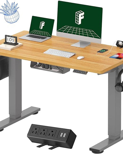 FLEXISPOT EN2 Whole-Piece Standing Desk with Clamp Power Strip, 48 x 24'' Electric Stand Up Height Adjustable Desk with Cable Management (Gray Frame + 48" Maple Desktop, 2 Packages)