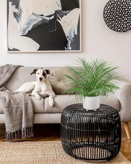 Hollyone Large Artificial Potted Plants Fake Palm Plants 19" Faux Green Plant Plastic Tropical Palm Tree in White Ceramic Pots Bohemian for Home Room Office House Indoor Decoration