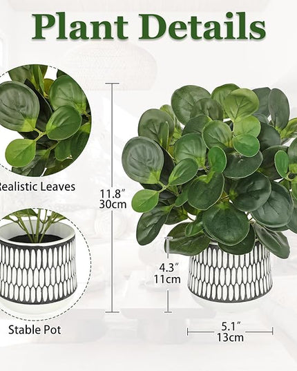 12" Artificial Plants Indoor Small Fake Plant in Ceramic Pot, Silk Plants for Home Decor Indoor, Faux Peperomia Potted Plant for Shelves, Desks, Home, Room, Office, Bedroom, Entryway, Tabletop Decor