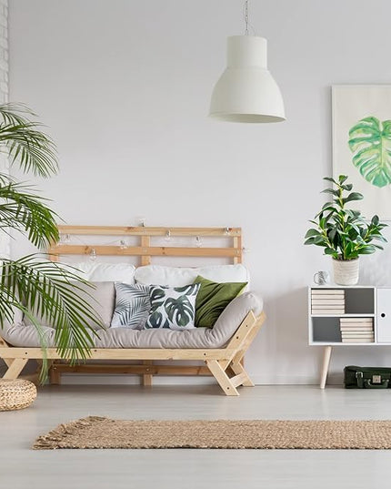 AlphaAcc 16 inch Artificial Indoor Plants Office Desk Faux Plant Peperomia Leaf Ficus Plant Realistic Small Fake Farmhouse Plants for Home Kitchen Bathroom Bedroom Evergreen Decor