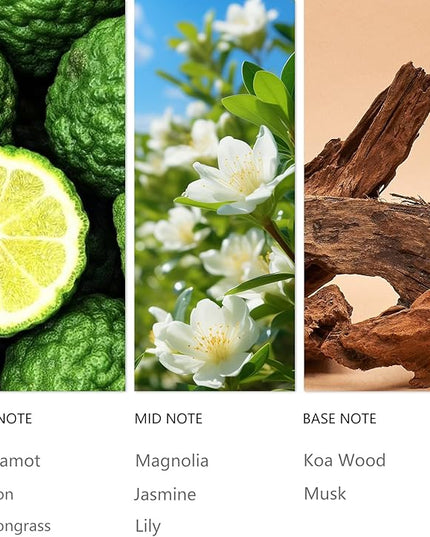 Hotel Bergamot Essential Oil - 120ML Waterless Scent Oil for Cold Air Diffusers, Luxury Aroma Fragrance Oils for Home, Spa & Office-Long Lasting Aromatic Oil for Waterless Diffusers
