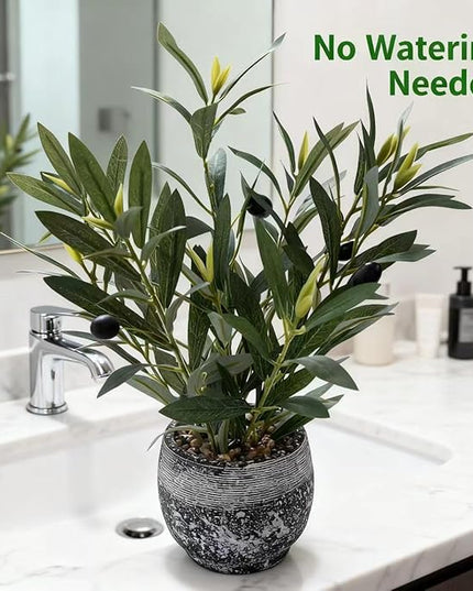 Ewtogift Indoor Faux Olive Plant 12 inch Artificial Silk Leaves in Elegant Planter Perfect Fake Olive Branches with Realistic Trunk and Lifelike Fruits Tabletop Greenery Decor for Home Office