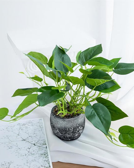 AlphaAcc Artificial Plants Potted Real Looking Small Faux Plant with Rustic Black Cement Planter for Kitchen Office Desk Bookshelf Decor (Ivy Plant)