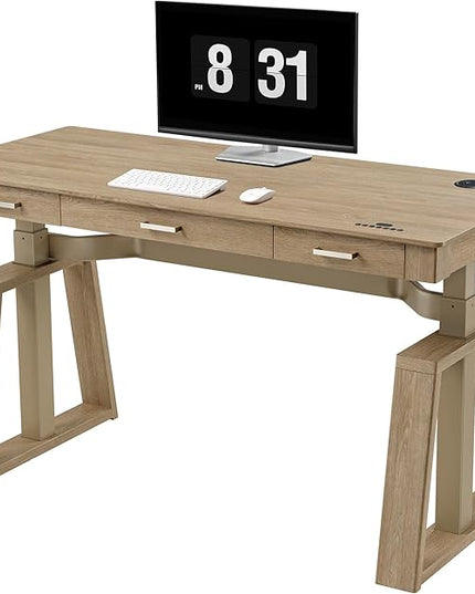 EUREKA ERGONOMIC Standing Desk,60x26 Executive Desk with 3 Drawer Adjustable Height Electric Desk Home Office Computer Desk Modern Workstation with Memory Controller