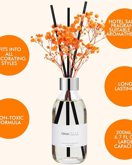 Clesh Reed Diffuser Set, 6.7 oz Citrus Scented Diffuser with Sticks, Home Fragrance Reed Diffuser for Bathroom Shelf Decor