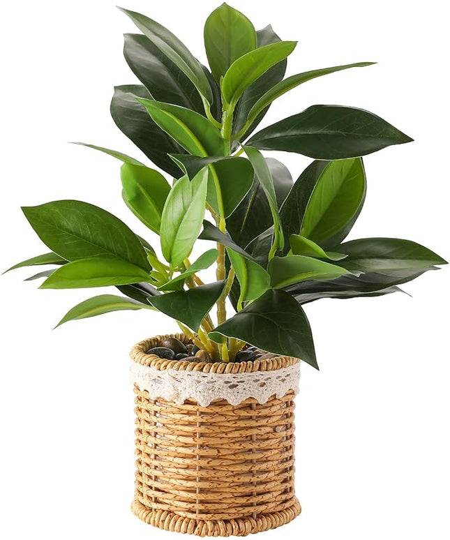 Nubry Fake Plants Artificial Potted Plants with Weaved Pot for Shelf & Table Desk | Perfect for Home Office Bathroom Farmhouse Room Coffee Table Decor 10‘’