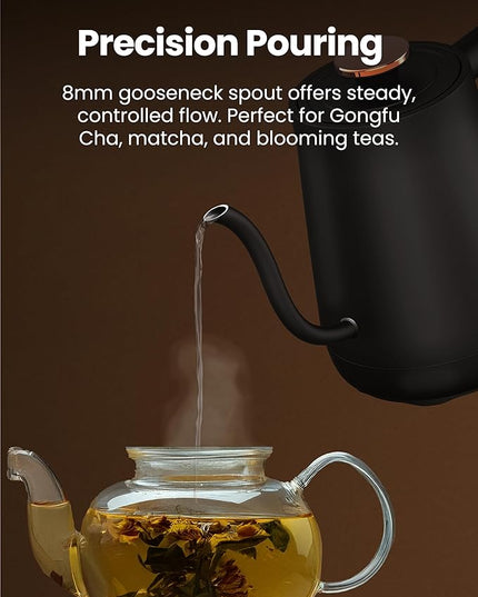 Vianté Electric Gooseneck Kettle with Precise Temperature Control. Pour Over Coffee & Tea Kettle. Boil-Dry Protection & Keep Warm Function. Stainless Steel, BPA-Free. Includes V60#2 Filters. 0.8L