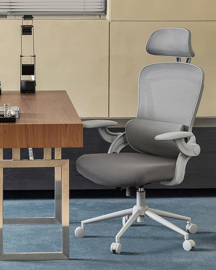 Nouhaus Ergo Fit Ergonomic Mesh Office Chair High Back Adjustable Lumbar Support Headrest and Adjustable Flip-up Armrests, Comfy Desk Chairs Swivel Computer Gaming Chair Tilt Function(N20, Grey)