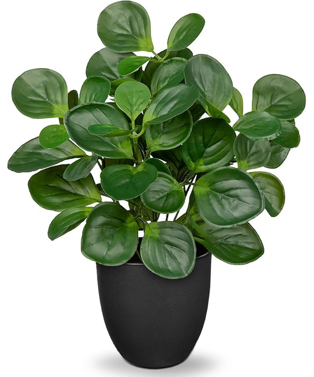Villa Como 14.5" Artificial Plants Indoor Home Decor, Fake Potted Silk Plants for Shelves Living Room Decorative, Small Artificial Office Desk Plants in Pots, Faux Peperomia Hope Tropical House Plant