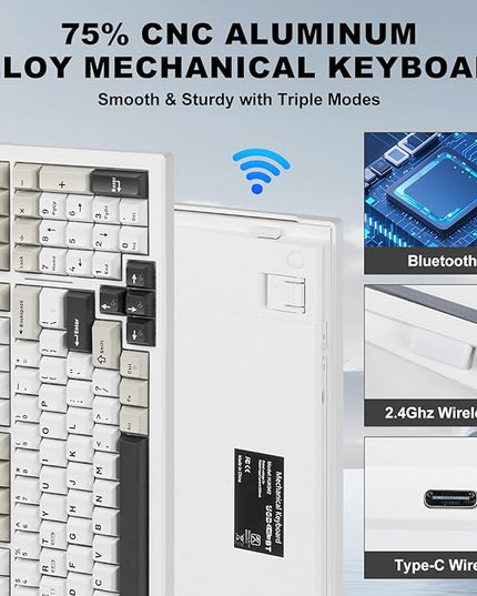 Wireless Game Mechanical Keyboard BT5.0/2.4GHz/USB, Multi-Color LED with 18+ Modes, Hot-Swappable Custom Keyboard, Red Creamy Switches, Gaming Keyboard for PC/Mac (Black White)