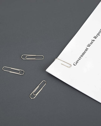 PAPERPAL Paperclips for Office School & Personal Use, #1 Smooth Paper Clip (1-2/7"), 600 Medium Paper Clips (6 Boxes of 100 Each), Silver