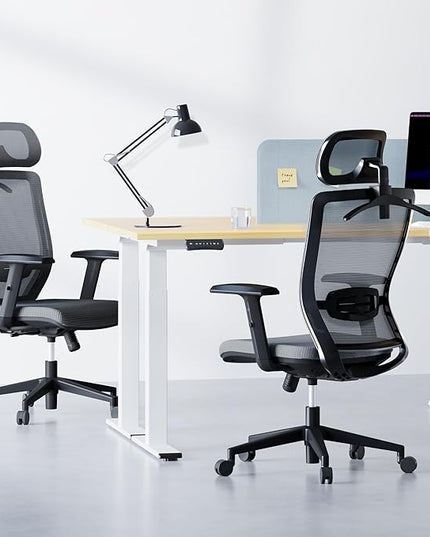 FLEXISPOT Classic Ergonomic Office Chair with High Back Swivel Computer Chair Executive Office Desk Chairs, with Lumbar Support/2D Headrest/Lockable Tilt Function, Foam Seat Cushion, Gray