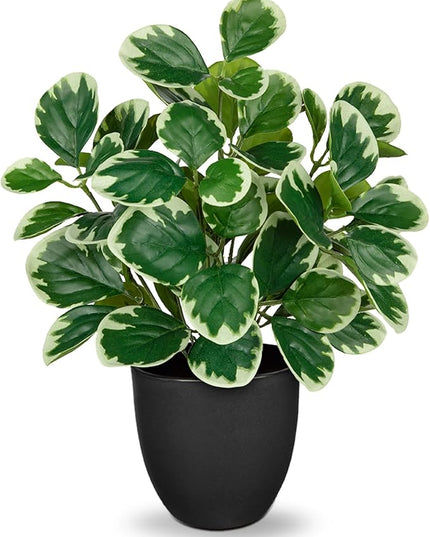 Villa Como 14.5" Artificial Plants Indoor Home Decor, Fake Potted Silk Plants for Shelves Living Room Decorative, Small Artificial Office Desk Plant in Pots, Faux Peperomia Hope Tropical House Plant